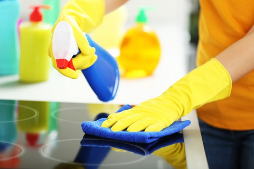 Cleaning process for upholstered furniture with fabric-safe treatment