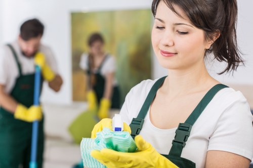 Upholstery and mattress stain removal in Chelsfield