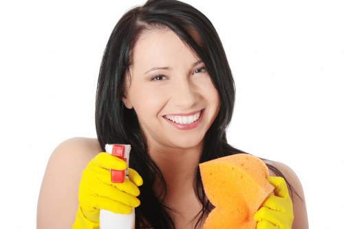 Deep cleaning upholstery for pet odour removal in Chelsfield