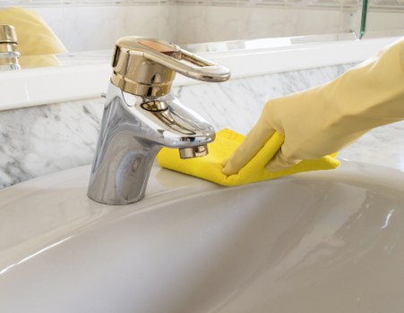Removing stubborn pet stains and odours from household fabrics