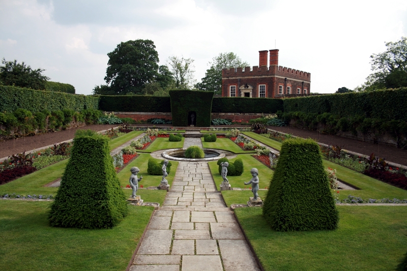 tenancy cleaning carpet cleaning
